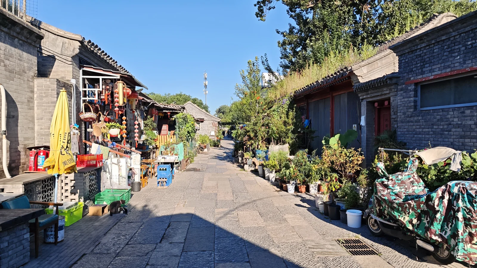 Gray brick houses and potted plants along a Beijing hutong lane
