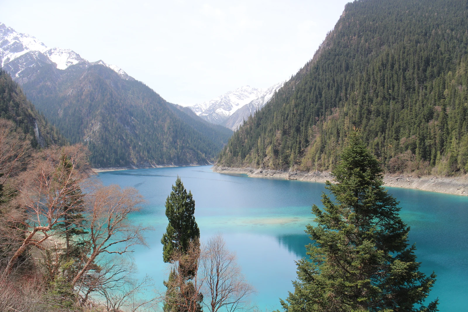 Turquoise Long Lake framed by forested mountains in Jiuzhaigou