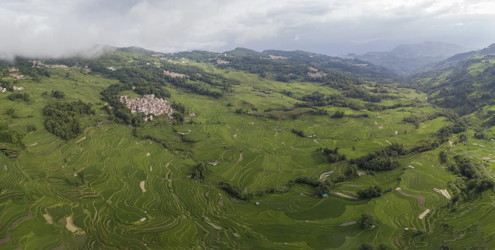 An aerial panorama across green rice terraces and hills in Yuanyang